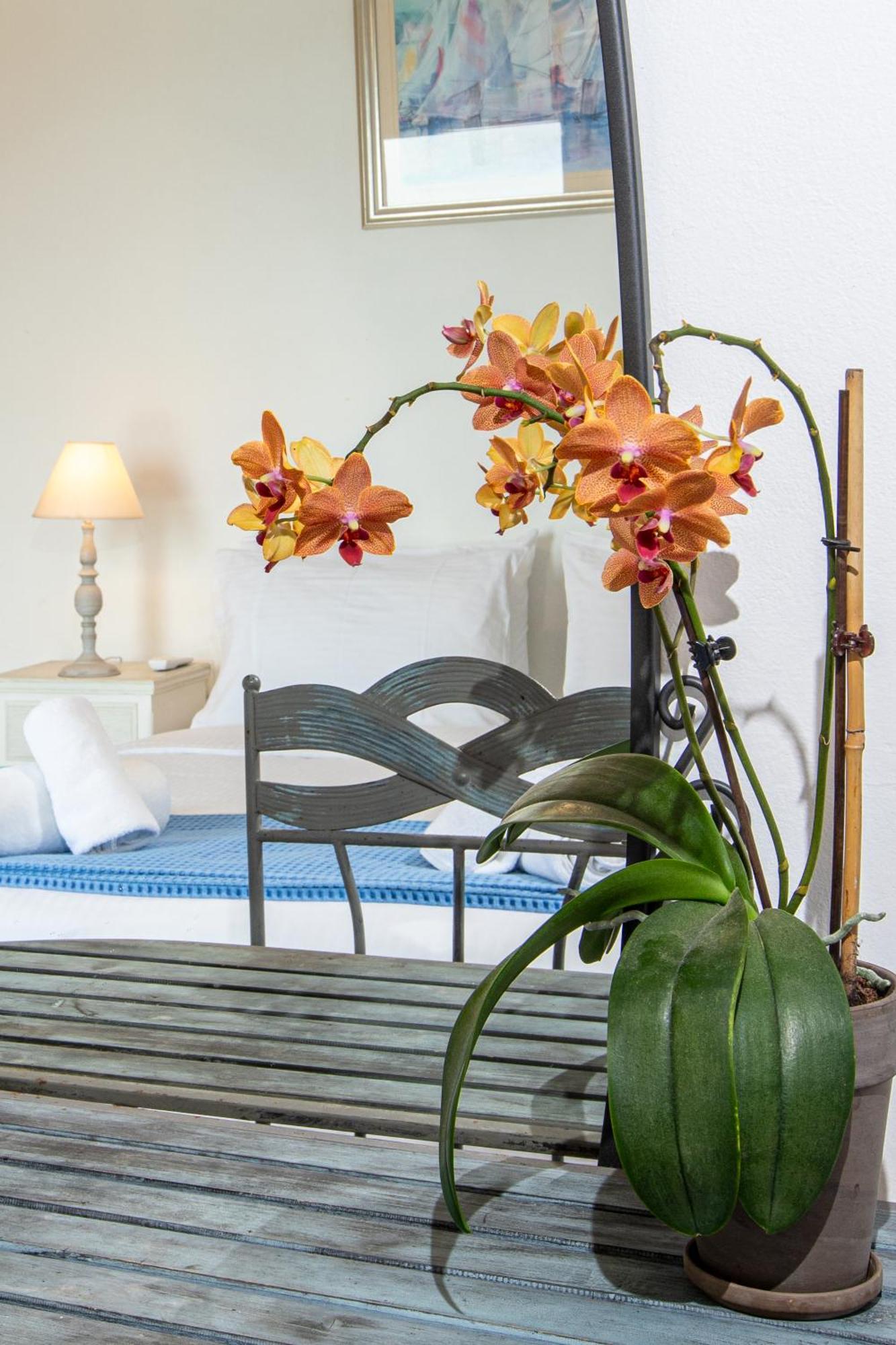 Dimitra Apartment With Private Pool And Sea View -The Ground Floor Of A Two Storey Building Daratsos Eksteriør billede